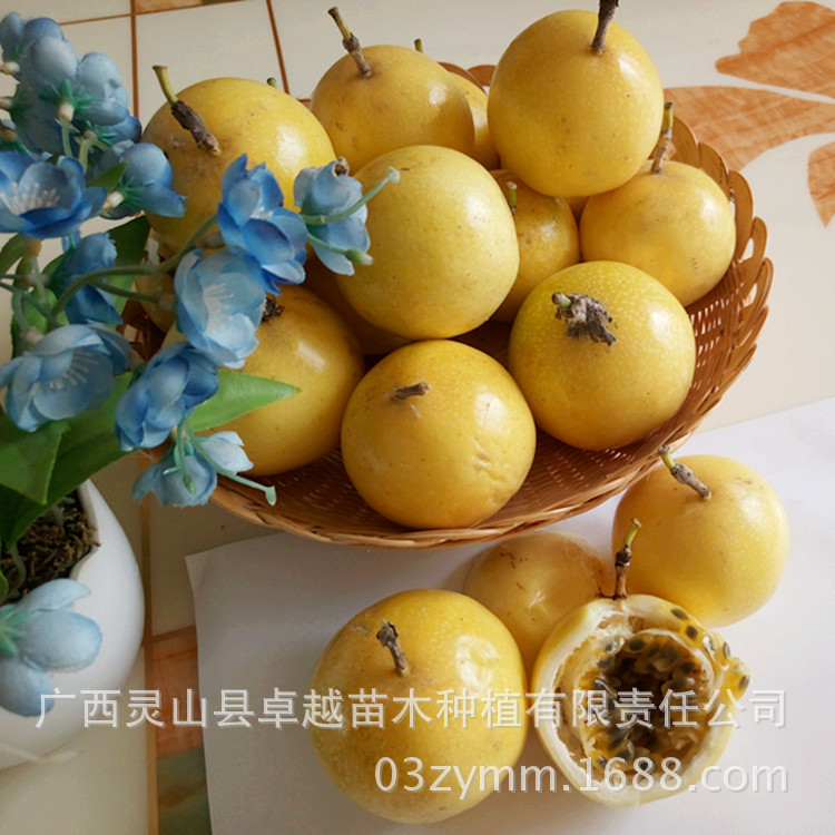 黄金百香果002