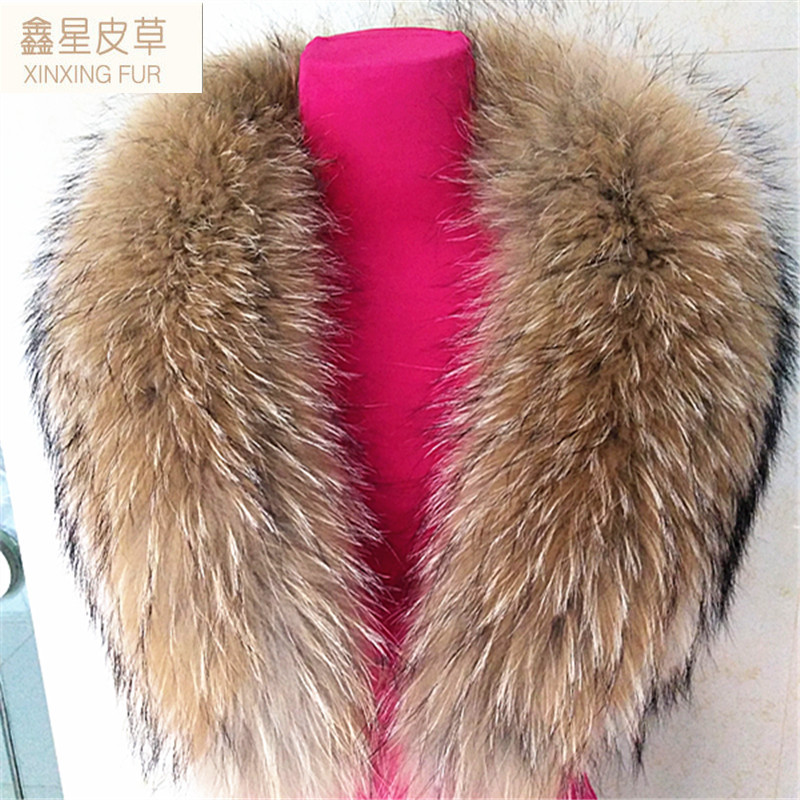 IMG20160113145343_副本