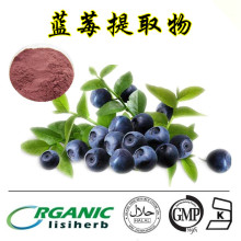 蓝莓提取物 Blueberry Extract 越桔提取物 4:1规格