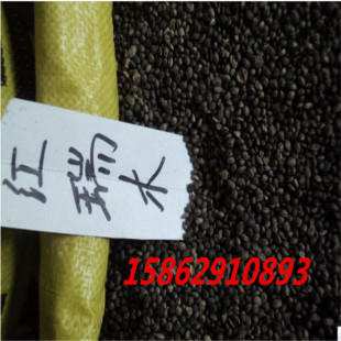 ���l��ľ�N�� �t��ľ�N�� �����t��ľ�N�� ���|���� ����ֱ�N