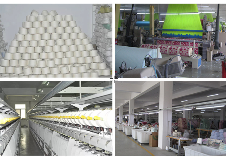 3379490199_115411931