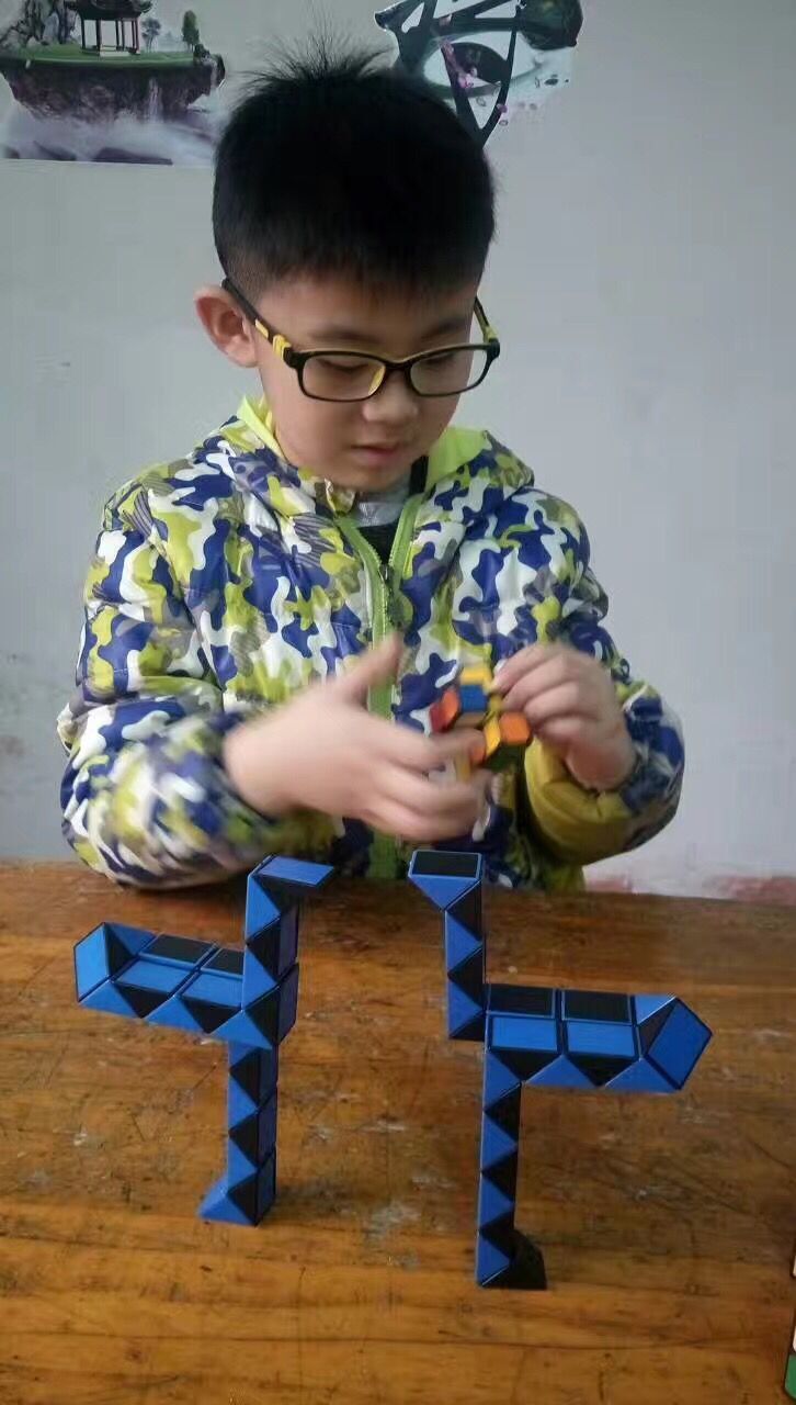 24-teiliger vielseitiger magischer Geschenklineal Niu-Ei Zauberwürfel Schlange 364872 Segmentspielzeug_voghion.com