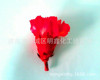 Of large number Sell Dried flowers Eternal life Anthocyanidin Full color Spend eternity Dye Longevity Colorants