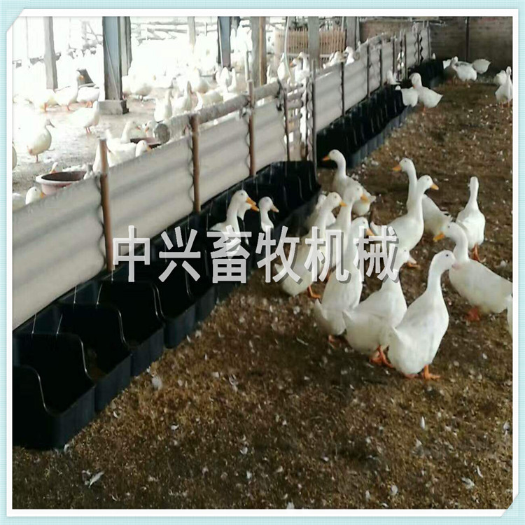 厂家直供家禽饲养专用鸭鸡产蛋窝  无底鸭蛋窝厂家直销