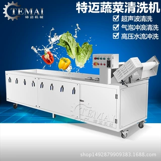 厂家定做二荆条辣椒清洗机 商用癞瓜喷淋洗菜机 自动气泡清洗机