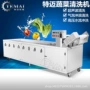 商用喷淋定做气泡洗菜机