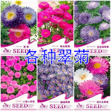 ʴԭb ̨ոߠ С л {ՈAGN