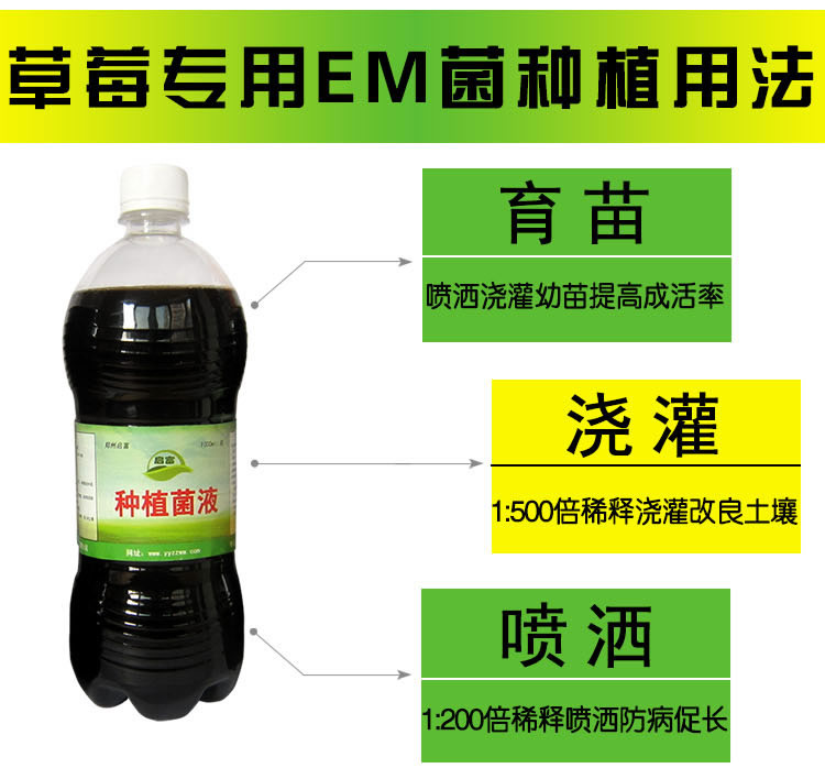 em菌种植草莓用法