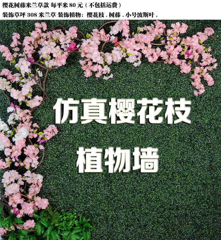 樱花树藤米兰草90