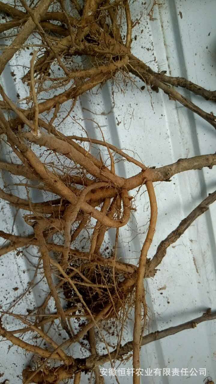 微信图片_2017092010012310