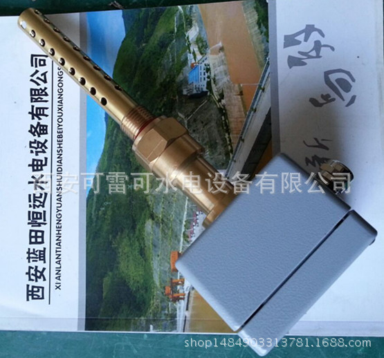 WM1油混水控制器、WM1-L100-24VDC油混水信号器螺纹图可调