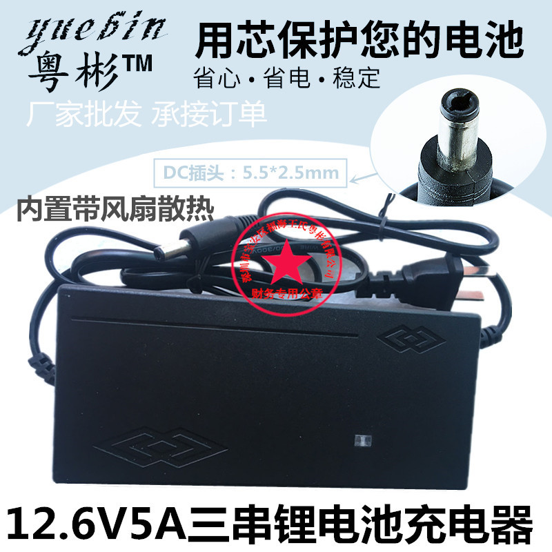 生产厂家 品质12V5A锂电池充电器 带散热风扇 12.6V5A 三串电池组