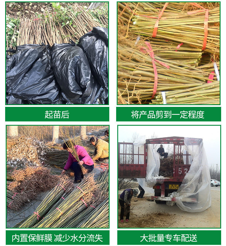 4791192368_1988513881