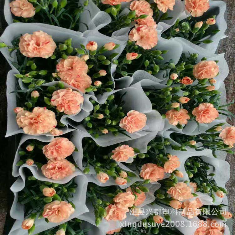 QQ图片20171010113505 - 副本