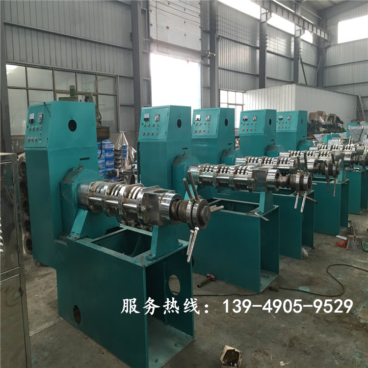 厂家直销榨油设备 家用小型榨油机价格 核桃花生大豆多功能榨油机