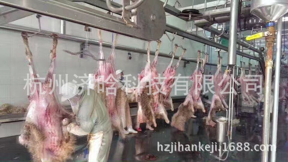 宏偉羊平預剝輸送生產線19