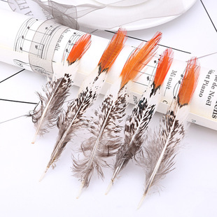 �S�Ҽt���~�uβë��c��̨�Ʒ��ˇƷ���b�b�Ⱦɫ�pɫ��ë���l