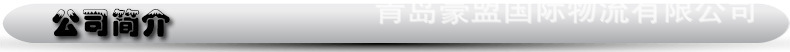 公司简介
