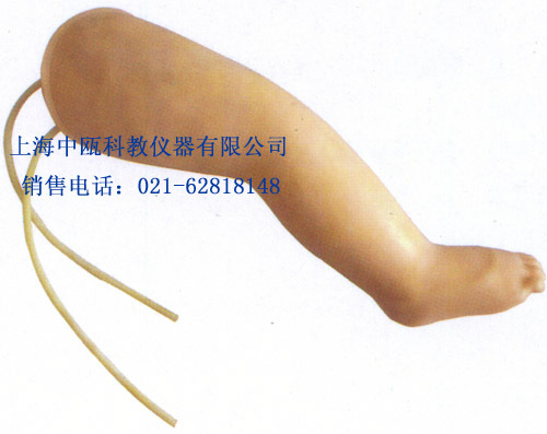 静脉模型|静脉⑩：HS34型高级婴儿腿部静脉穿刺模型
