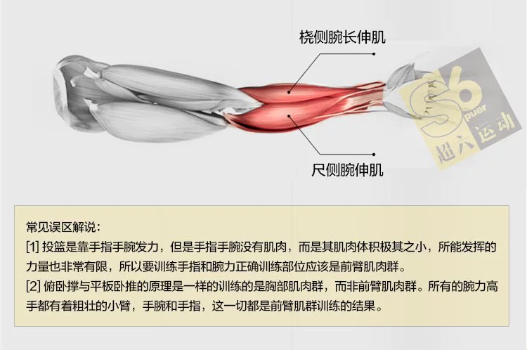 Bóng rổ Bắn súng Huấn luyện viên cổ tay Bắn súng Kiểm soát bóng rê bóng Thiết bị đào tạo Thiết bị phụ trợ Thiết bị đào tạo Bắn súng - Bóng rổ