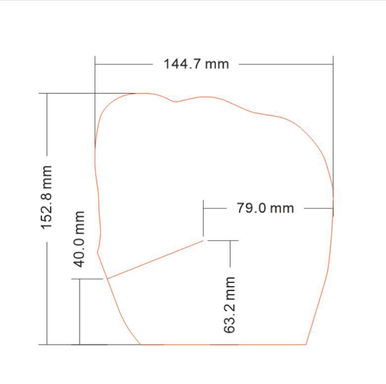 145*153双面硅油透明PET保护膜内衣硅胶隐形文胸乳贴离型膜预涂膜