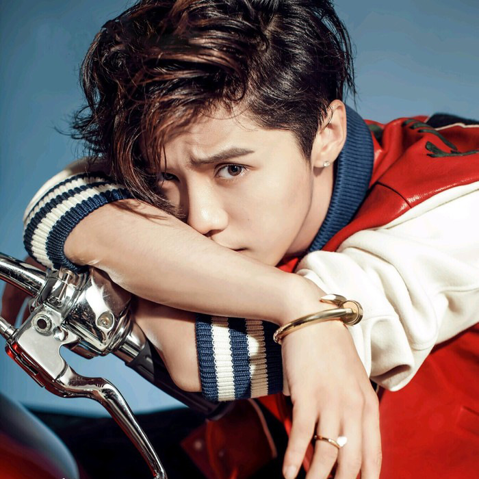 2016 Catwalk Lu Han Same item Little bee Embroidery genuine leather leather clothing locomotive leather jacket mlb Short coat