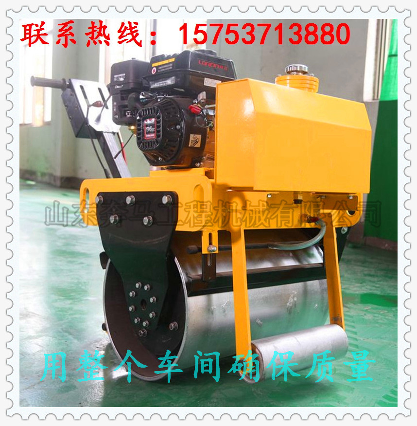 BMY30隆鑫 (1)