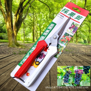 ���S�ҹ�����������ժ��ϡ����������軨���Ѳ�ժ�����@ˇ��֦��