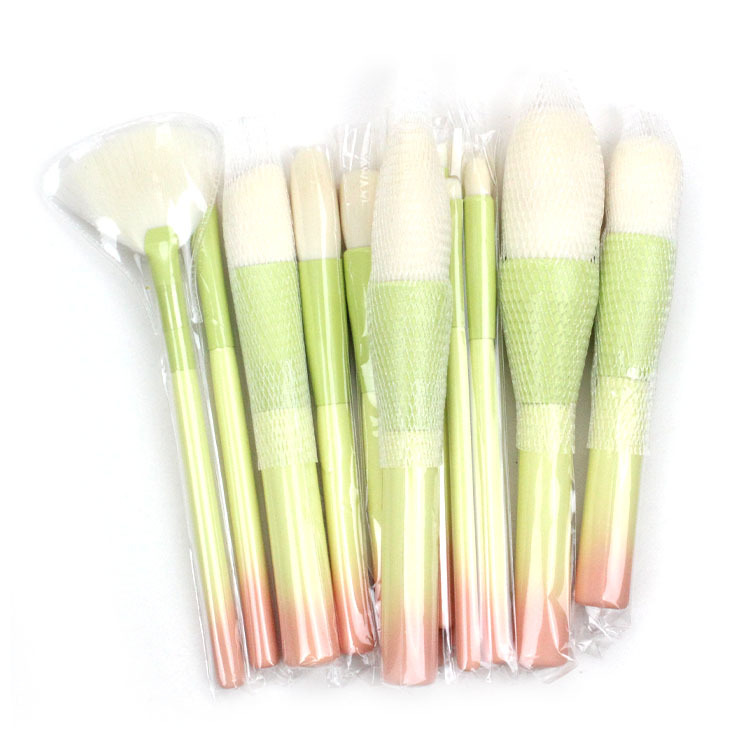 Brush Set 12