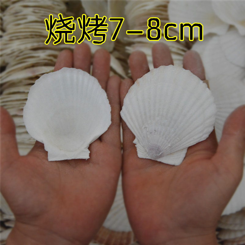 carousel-thumb-1