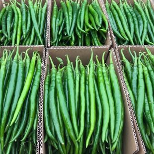 1��Fժ�F�l���r���������ཷ�⽷���r�߲˶��G�l���l