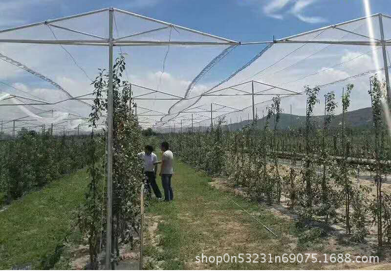 TB2e9ZjX.gQMeJjy0FeXXXOEVXa_!!