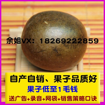 罗汉果 广西罗汉果茶干果12个盒装 地摊跑江湖展会热销新产品批发