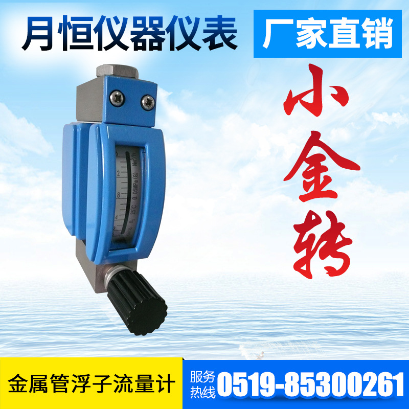 厂家直供 微小流量金属管浮子流量计LZZ- W/RR1 变面积式流量计