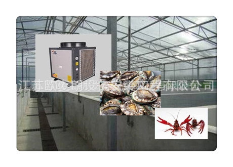 南通温水养殖热泵 空气能恒温养殖热泵 海水养殖保温设备