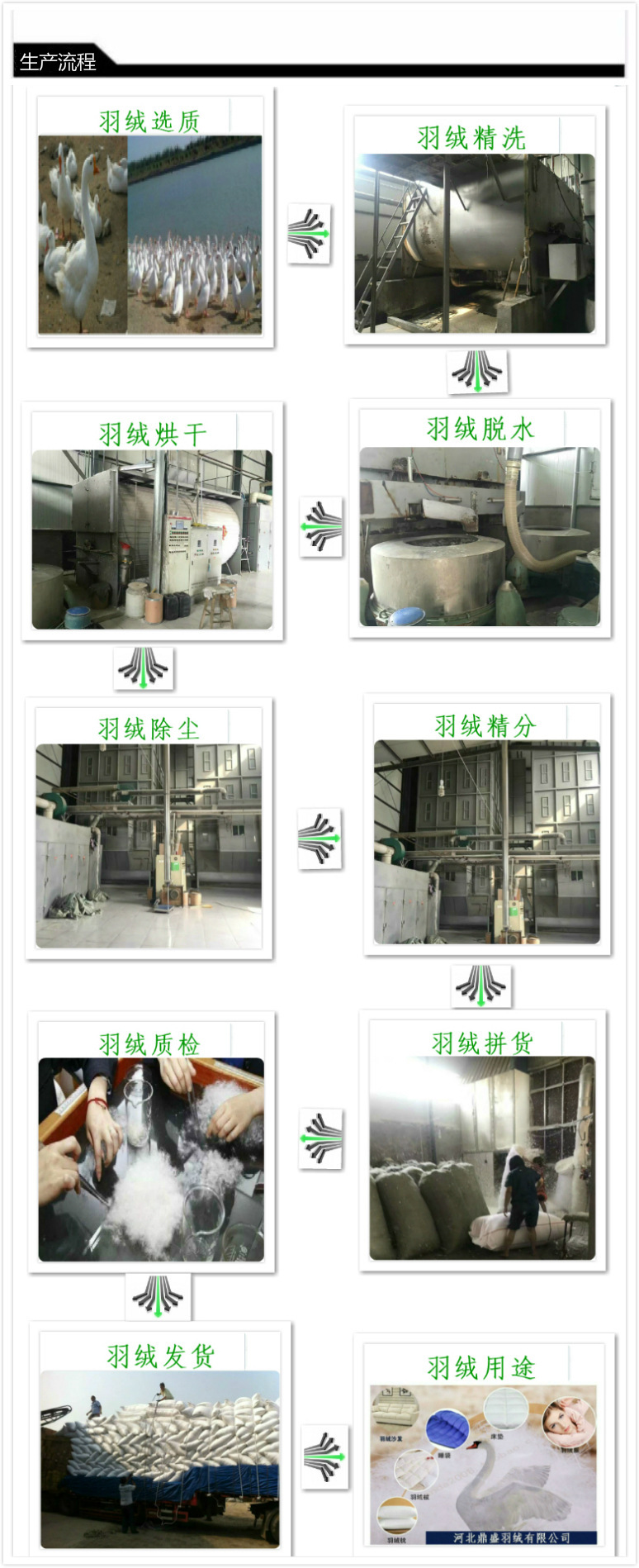 4674432838_980119599