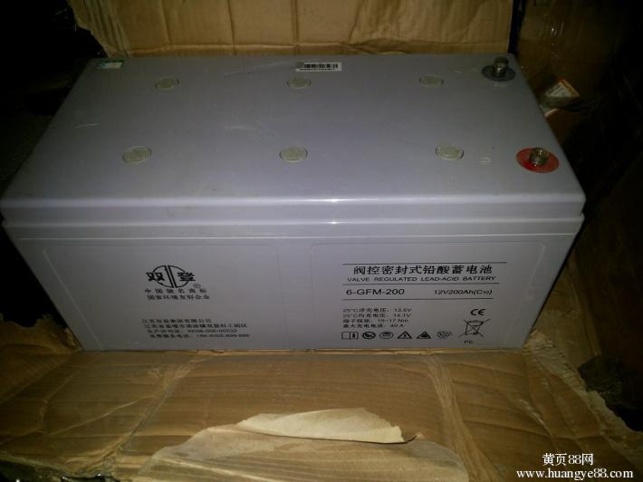 双登12V200AH