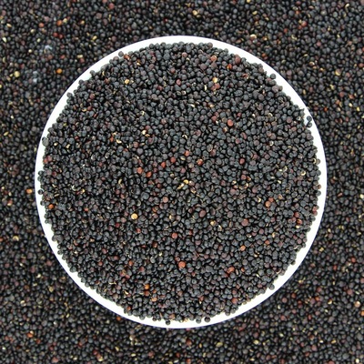 黑藜麦 五谷杂粮代餐谷物青海藜麦黑藜麦散装黎麦500g批发|ru
