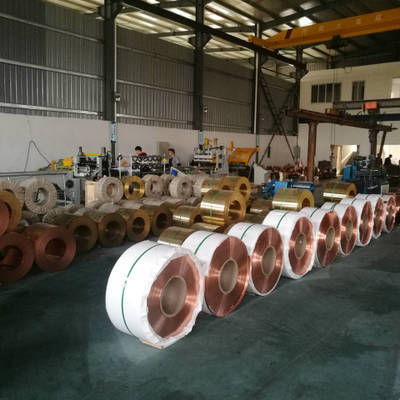 4128584495_889939173.400x400