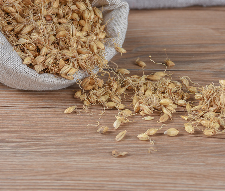 Mai Ya (Hordeum vulgare) — Dried Sprouted Barley for Tea & Soup, Food-Herb quality and texture