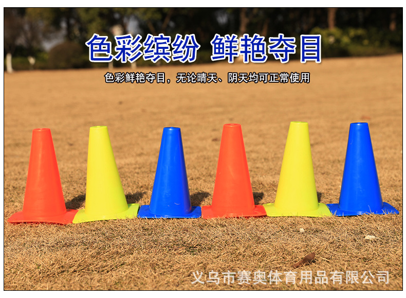 790_06.jpg