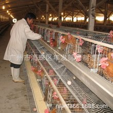 ������Ʒ�z��ИI��׼�BֳA�͵��u�\ �����P��\H�����u�\ �r�u�\