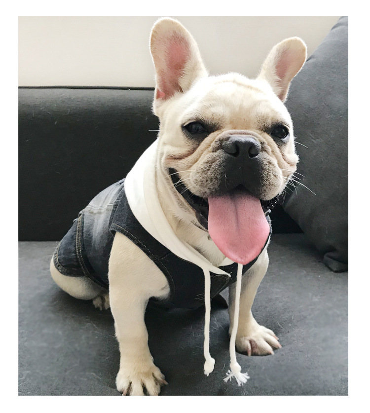Pet Vest
