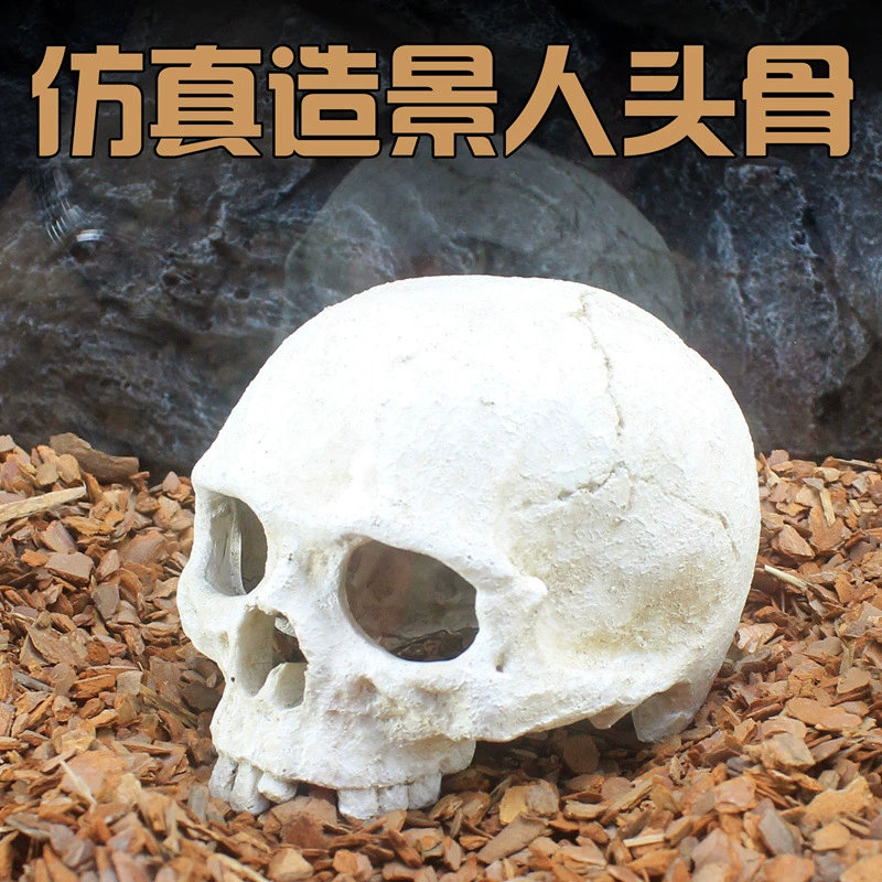 Структура рептилий скрыть Скорпион гусеничный ящик охранник дворец Аквариум Украшение Череп Кость ландшафтный дизайн