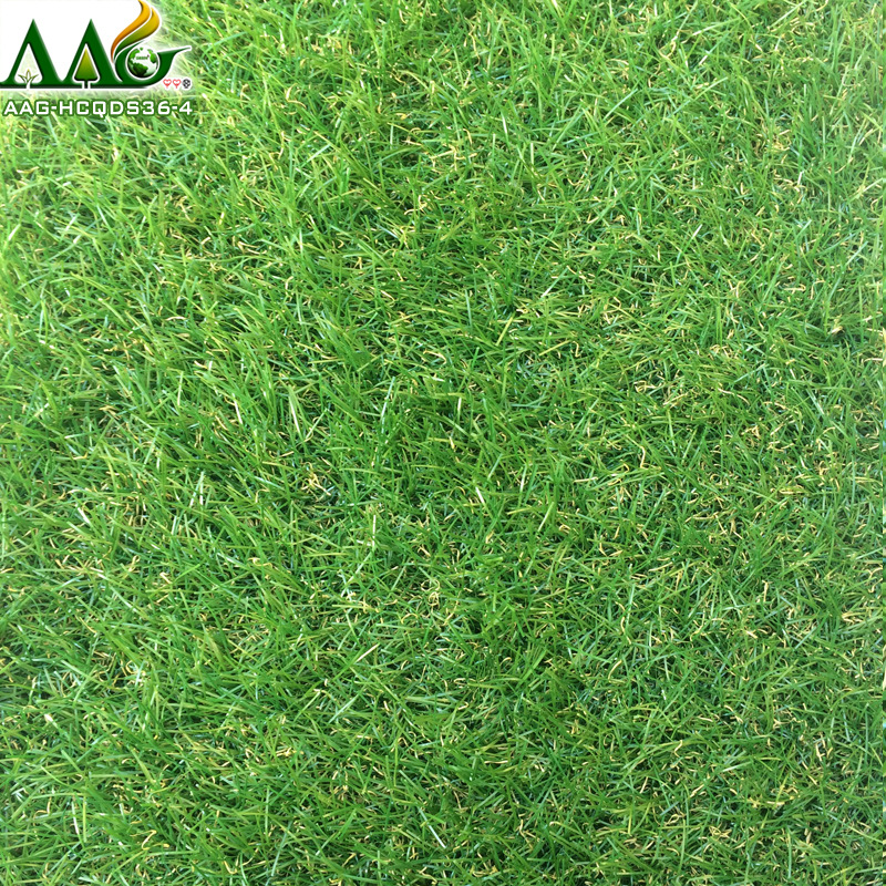 2018-AAG-HCQDS36-4-5