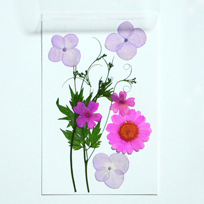 滴胶干花手机壳学生手工diy混合干花材料包 押花压花真花植物标本