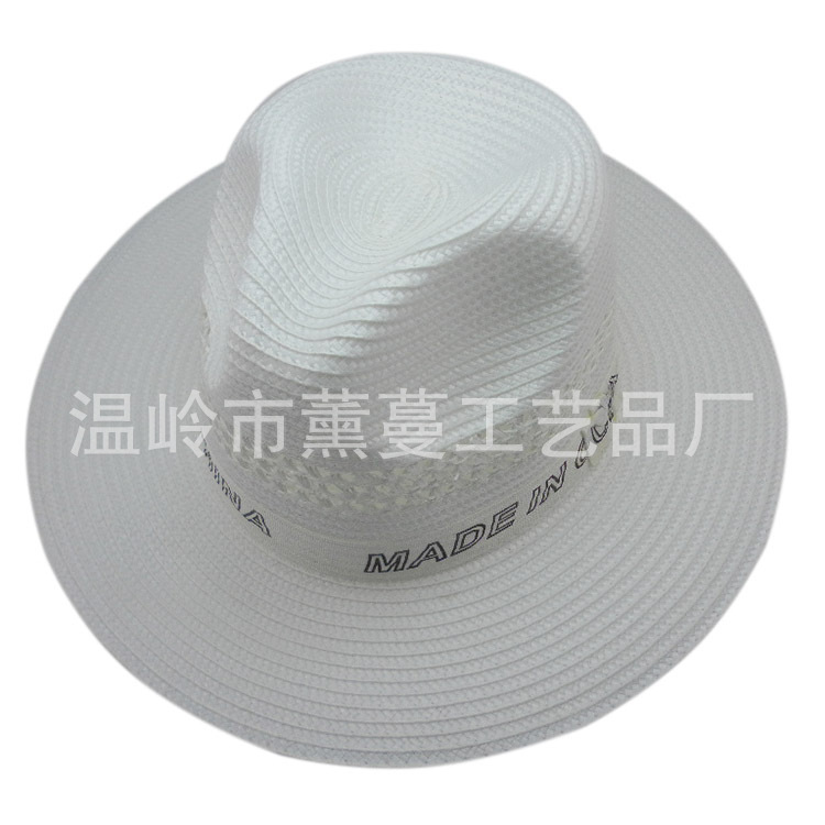 ʿñPPţñóññӡLOGO hat