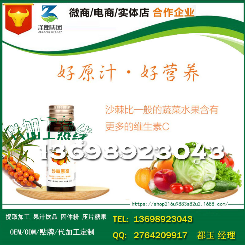 baidu-饮品沙棘蓝莓原浆6