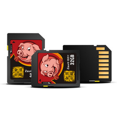 SD card 32g high speed digital camera SDHC large card class10 micro SLR storage truck large card