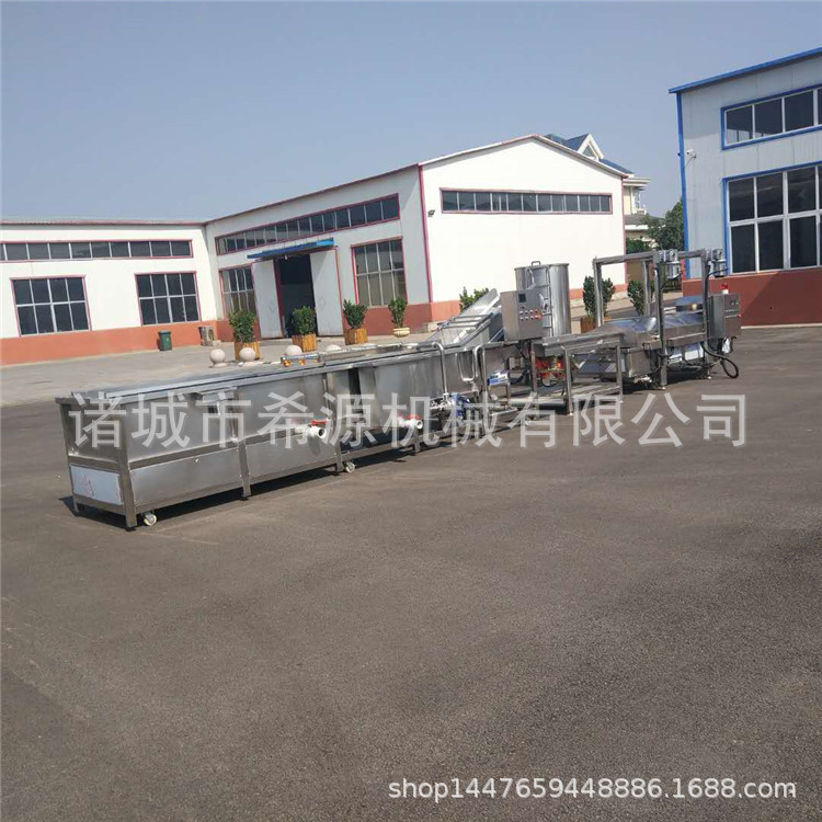 希源主打 带鲜叶柑橘清洗线 气泡式苹果清洗机 高压设备 欢迎订购